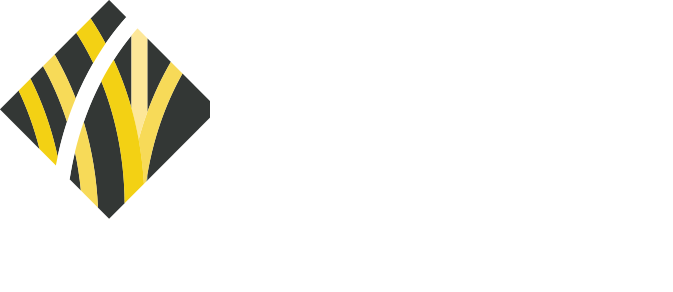 IFBD logo